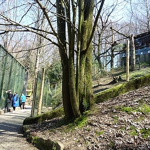 Enclosures for lions and red pandas (04/2023)