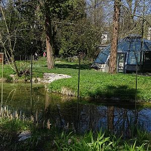 Flamingo enclosure (04/23)