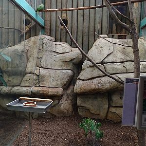 Tropical House; amazon enclosure (04/23)