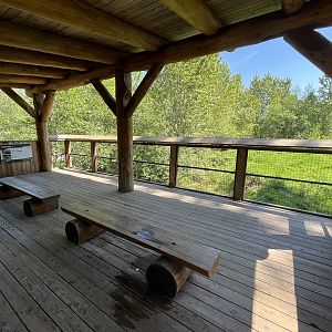 Grizzly Bear Viewing Deck