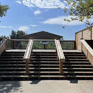 Giraffe Viewing Deck