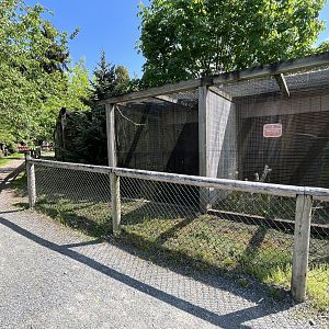 Row of Aviaries (empty for years)