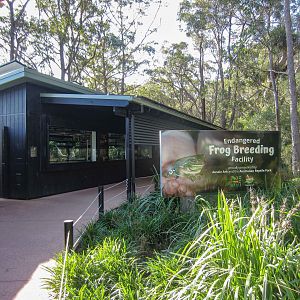 Frog Breeding Facility