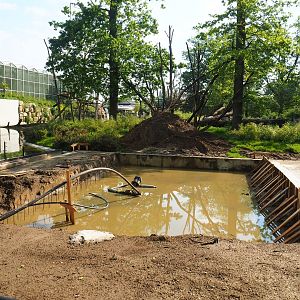 Early construction of Sulawesi black crested macaque house, 2023-05-13