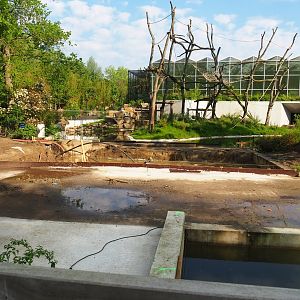 Early construction of Sulawesi black crested macaque house, 2023-05-13