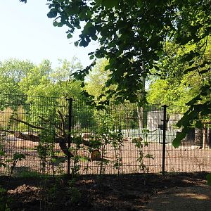 New Somali wild ass - Dorcas gazelle - Ostrich paddock construction site, 2023-05-13