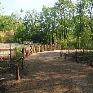 New Mountain bongo - Kirk's dik-dik paddock and Renovated walkway construction site, 2023-05-13