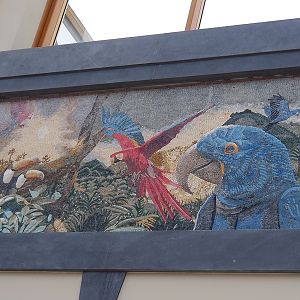 New entrance gallery - Mosaic with South American birds (future species for The Sanctuary?), 2023-05-15