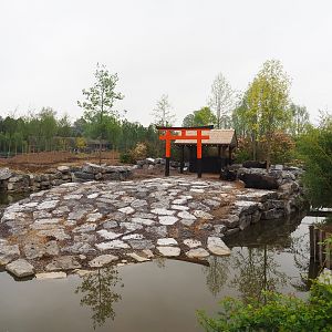Expansion of the water buffalo exhibit - Part of The Land of the Rising Sun, future Japanese area, 2023-05-15