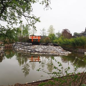 Expansion of the water buffalo exhibit - Part of The Land of the Rising Sun, future Japanese area, 2023-05-15