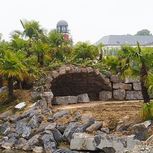 Construction of The Land of the Rising Sun, future Japanese area - Cave, 2023-05-15