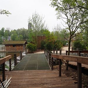 New squirrel monkey island, 2023-05-15