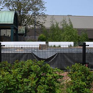 Progress on future turtle exhibits by Hamill Family Nature Plaza