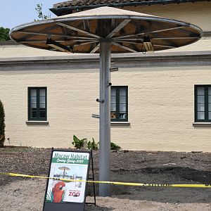 Construction of outdoor macaw "exhibits"