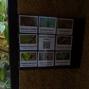 Signage of the South American mixed species display