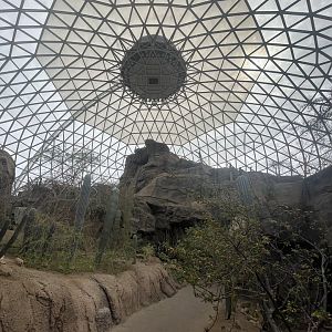 Desert Dome Interior