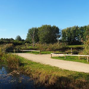 Main walkway and giraffe viewing area, 2022-10-09