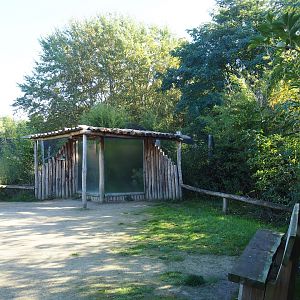 Fossa viewing windows, 2022-10-09