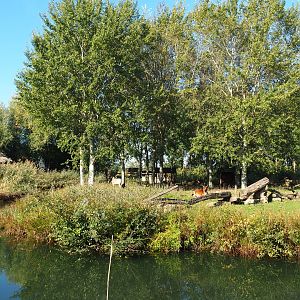 Reticulated giraffe, Zebu and De Brazza's guenon exhibit, 2022-10-09