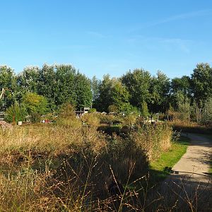 Main walkway near Reticulated giraffe, Zebu and De Brazza's guenon exhibit, 2022-10-09