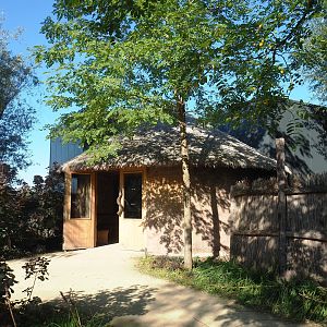 Viewing area for indoor reticulated giraffe and De Brazza's guenon exhibits, 2022-10-09