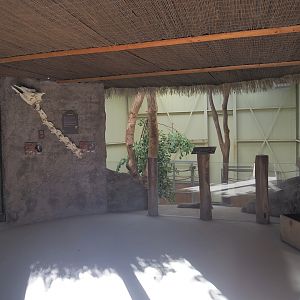 Viewing area for indoor reticulated giraffe and De Brazza's guenon exhibits, 2022-10-09