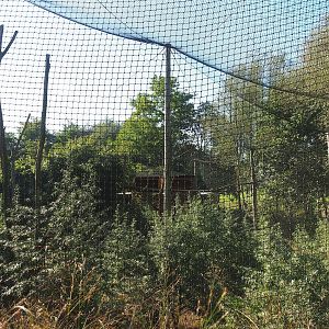 East African grey crowned crane and hamerkop aviary, 2022-10-09