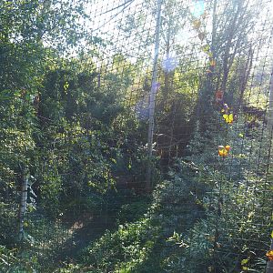East African grey crowned crane and hamerkop aviary, 2022-10-09
