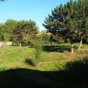South African cheetah exhibit, 2022-10-09