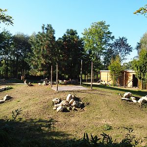 Mhorr gazelle and South African ostrich paddock, 2022-10-09
