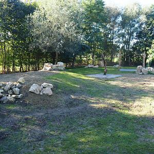Mhorr gazelle and South African ostrich paddock, 2022-10-09