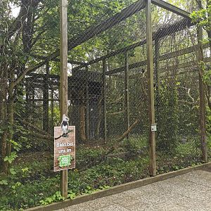 Soon.. Harpy eagle..