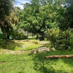 Flamingo Gardens (2022) - Black Bear exhibit