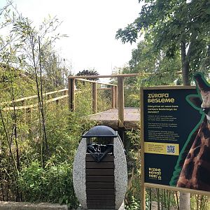 Giraffe feeding platform