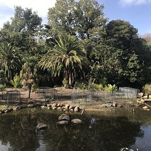 Trail of the elephants island