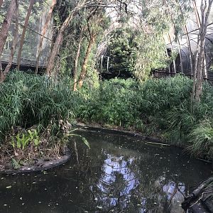 Second part of the GFA - wetlands section