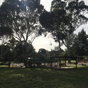 New kangaroo enclosure