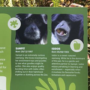 New Saimang signage - Japanese Island