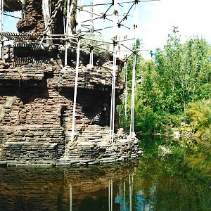 Disney's Animal Kingdom - Siamang exhibit circa 1999