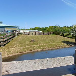 First Common Hippo Enclosure