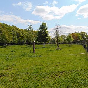 Bongo and Sitatunga Enclosure