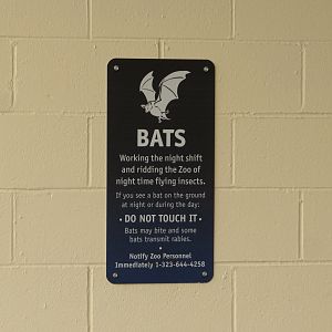 Bat Info Sign