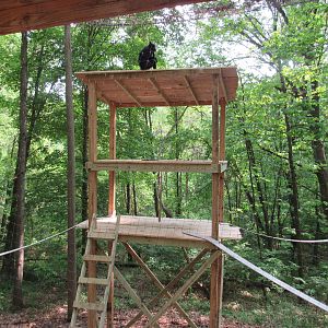 New Climbing Structures in Monkey Valley - 5/22/23