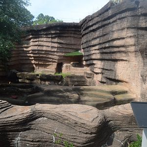 Grottos - Empty Exhibit in Corner of Lion Exhibit