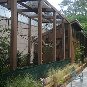 Standalone Exhibits - Pair of Avairies