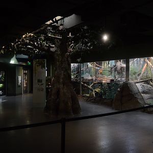 Aquarium and Reptile Conservation Center - Temperate Forest Exhibits