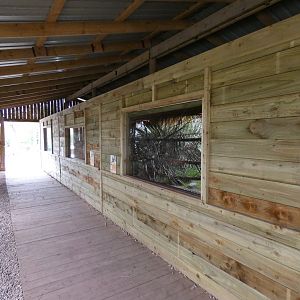 Honey badger indoor viewing area