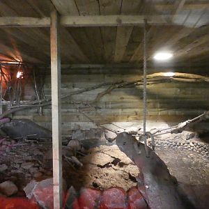 Honey badger indoor enclosure