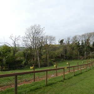 Spectacled bear enclosure