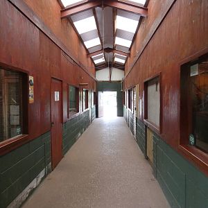Inside of primate house